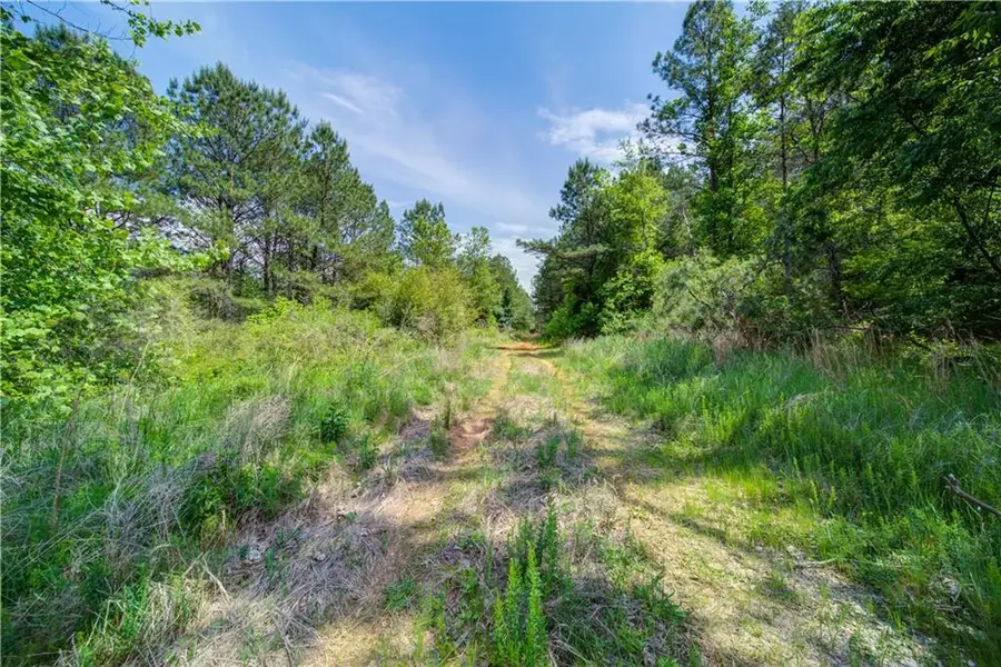 8580 Nicholson Road, Cumming, GA 30028 - #3