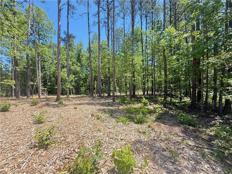 0 Pope Road, Buchanan, GA 30113 - #3