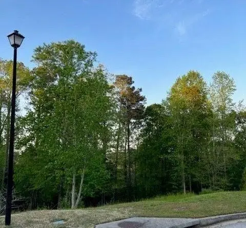 1628 Alcovy Ridge Crossing Crossing, Loganville, GA 30052 - #3