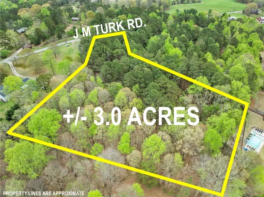 4580 J M Turk Road, Flowery Branch, GA 30542 - #1