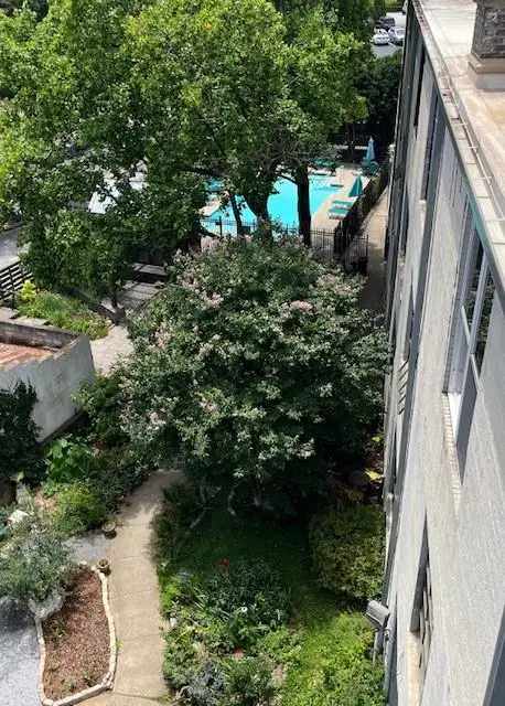172 Haynes Street Sw #205, Atlanta, GA 30313 - #2