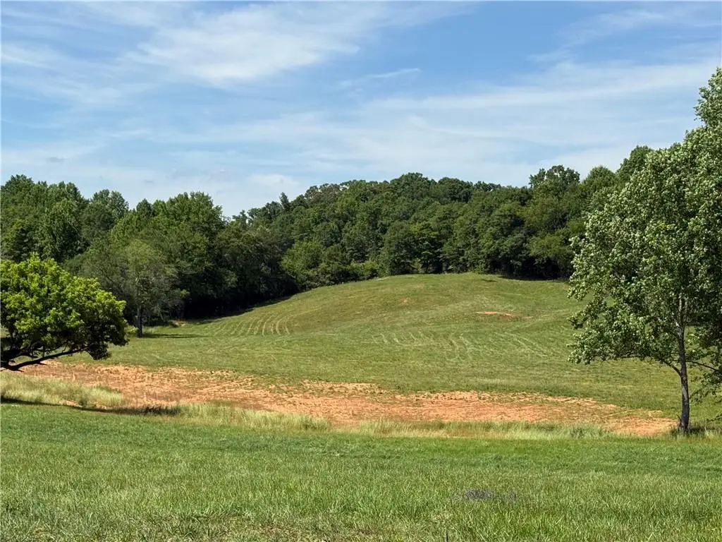 603 Wall Bridge Road, Clarkesville, GA 30523 - #1