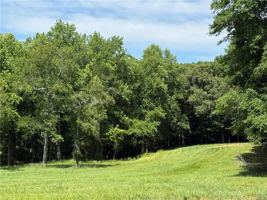 603 Wall Bridge Road, Clarkesville, GA 30523 - #3