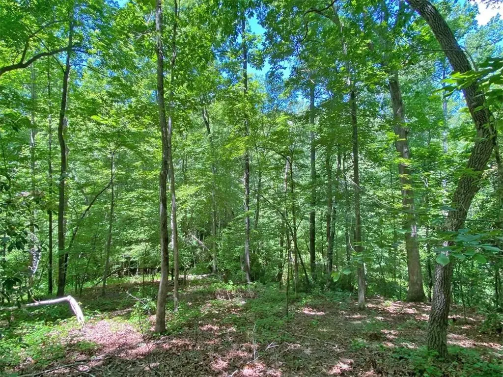 0 Hickory Nut Trail, Dahlonega, GA 30533 - #1