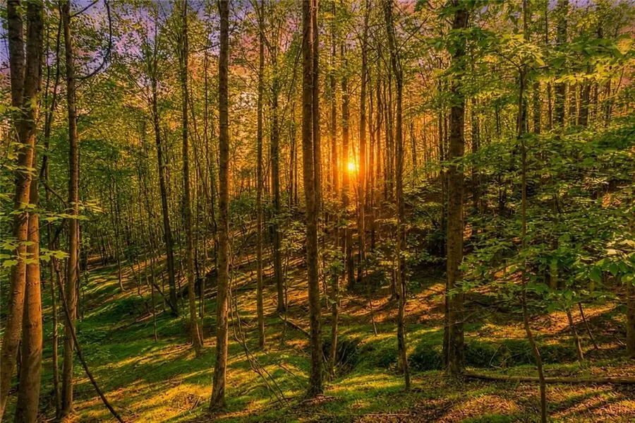 Lot 26 Estates Drive, Ellijay, GA 30536 - #2