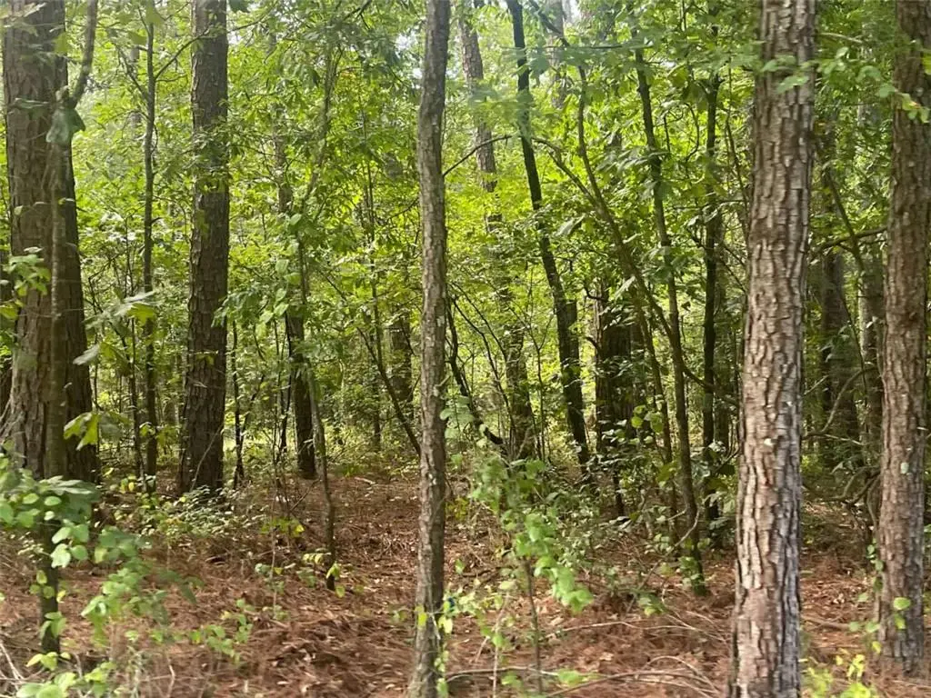 4755 Govanett Road, Powder Springs, GA 30127 - #1