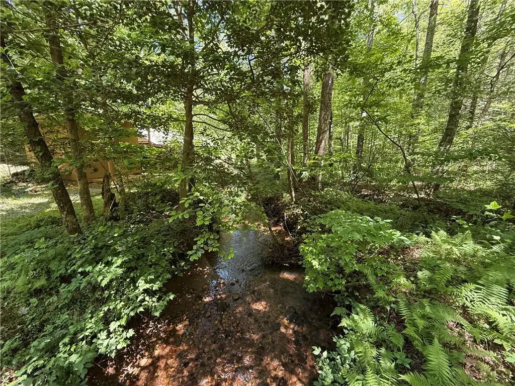 1199 Mountain Cove Road, Dahlonega, GA 30533 - #1