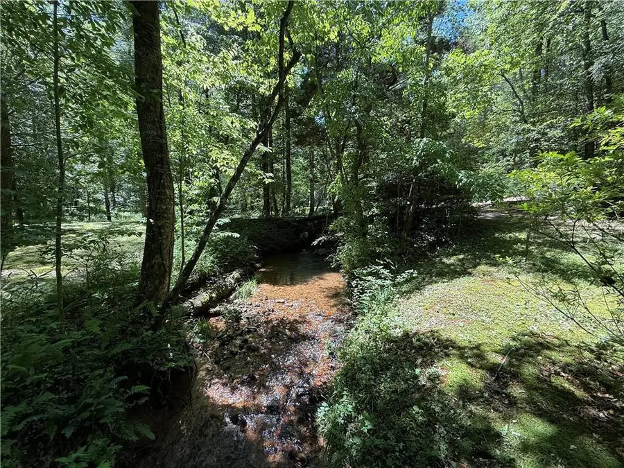 1199 Mountain Cove Road, Dahlonega, GA 30533 - #2