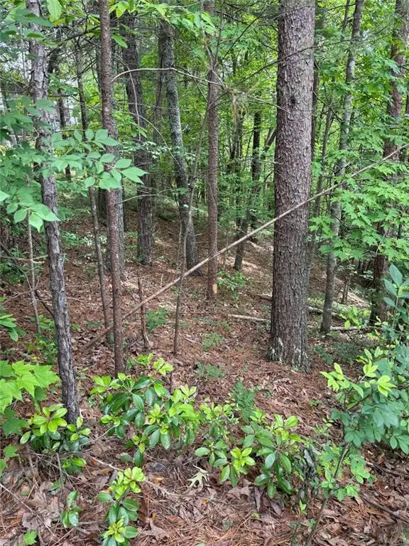 0 Hinterstraten Weg, Helen, GA 30545 - #1