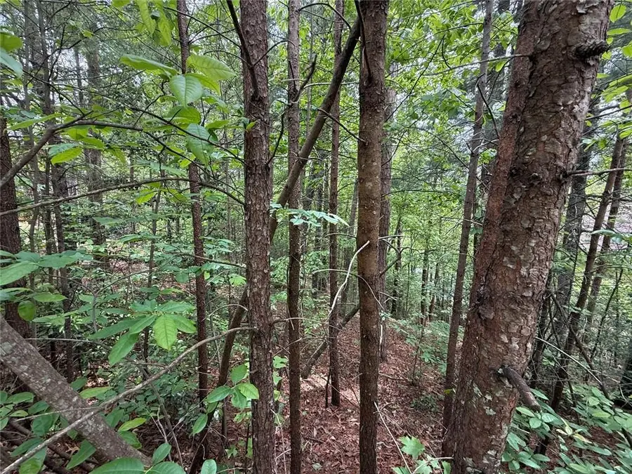 0 Hinterstraten Weg, Helen, GA 30545 - #2