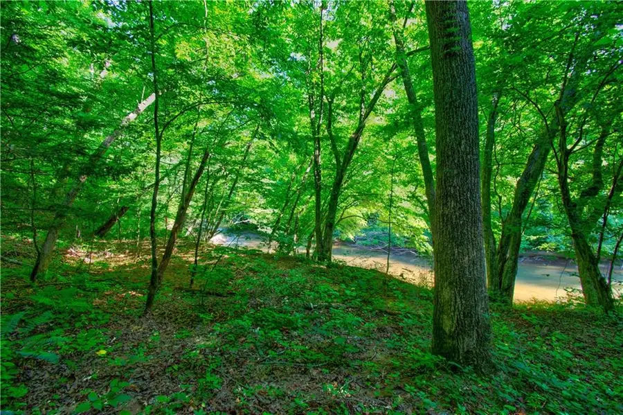 5.31 Tom Bell Odom Road, Dahlonega, GA 30533 - #3