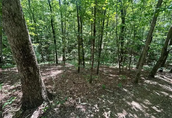 0 Fouts Mill Rd, Douglasville, GA 30135