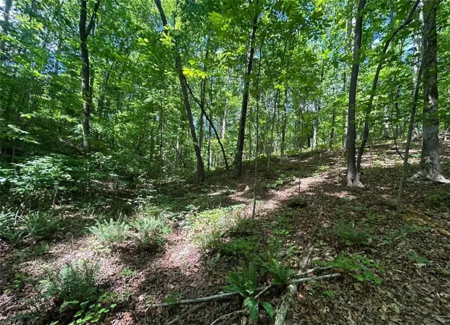 0 Fouts Mill Rd, Douglasville, GA 30135 - #2