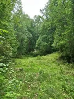 0 Log Cabin Rd Road, Cumming, GA 30028 - #2