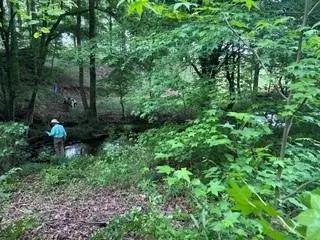 0 Log Cabin Rd Road, Cumming, GA 30028 - #3
