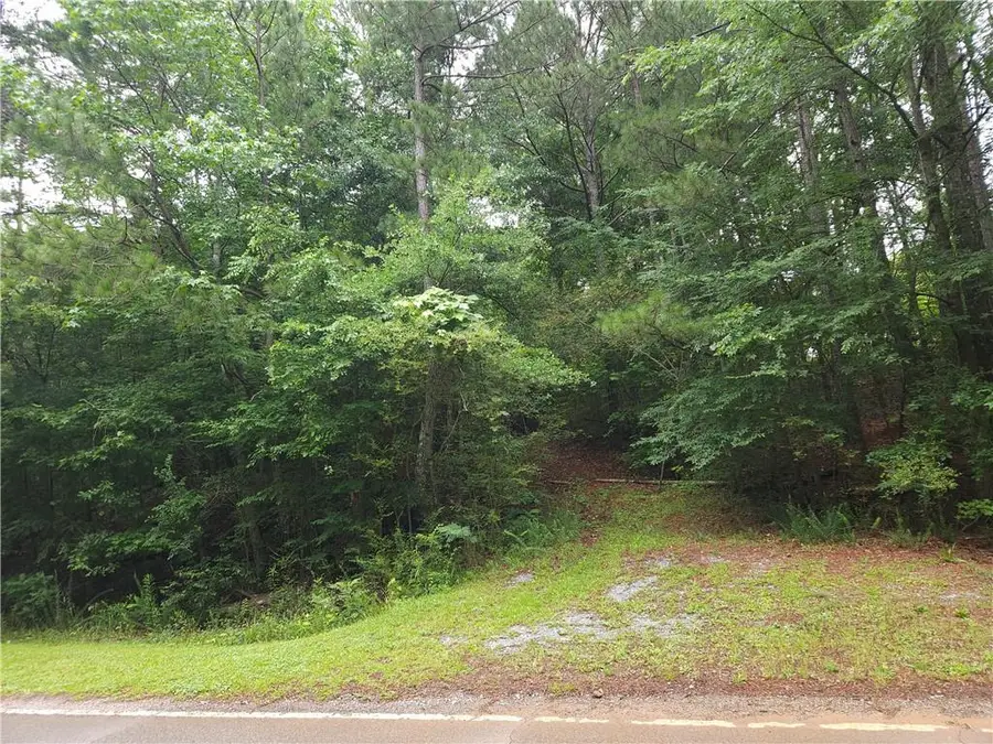0 Potash Road, Cedartown, GA 30125 - #2