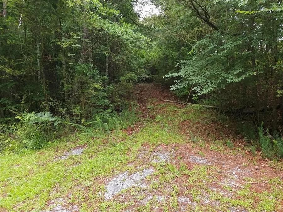 0 Potash Road, Cedartown, GA 30125 - #3