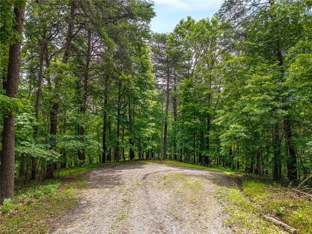 1331 Birch Lane Ne, Ranger, GA 30734 - #1