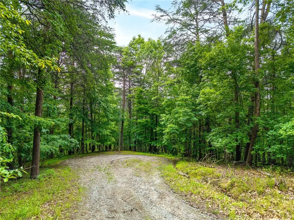 1332 Birch Lane Ne, Ranger, GA 30734 - #1