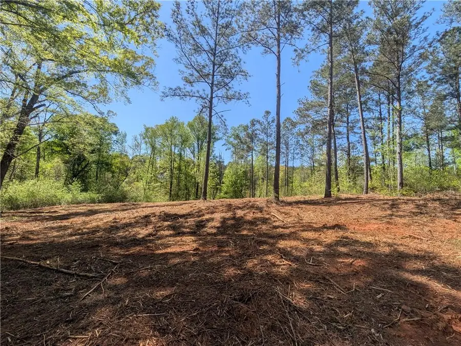 0 Magnum Lane, Pendergrass, GA 30567 - #3