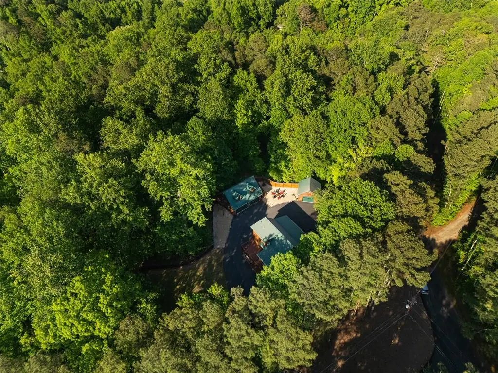311 Woodland Brook Drive, Canton, GA 30115 - #1