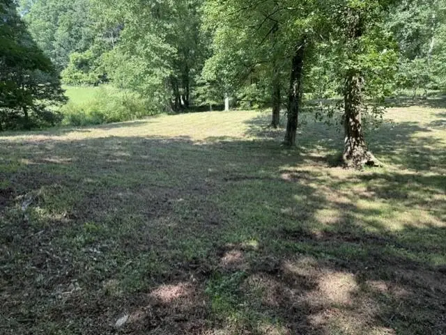 0 Lot 6 Clear Creek Preserve Way, Ellijay, GA 30536 - #3
