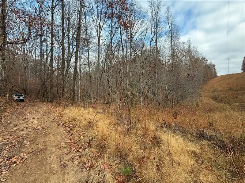 0 Falling Pines Road, Dahlonega, GA 30533 - #3