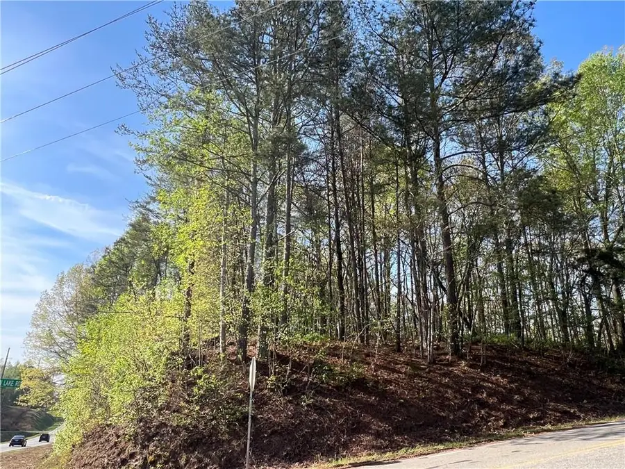 6425 Anderson Lake Road, Dawsonville, GA 30534 - #2
