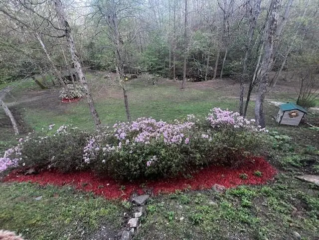 1117 Rambling Road, Fairmount, GA 30139 - #3