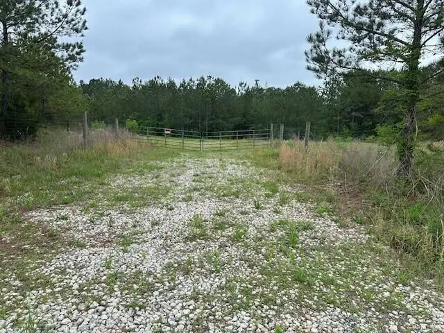 55 Spring Place Road, Cartersville, GA 30121 - #3