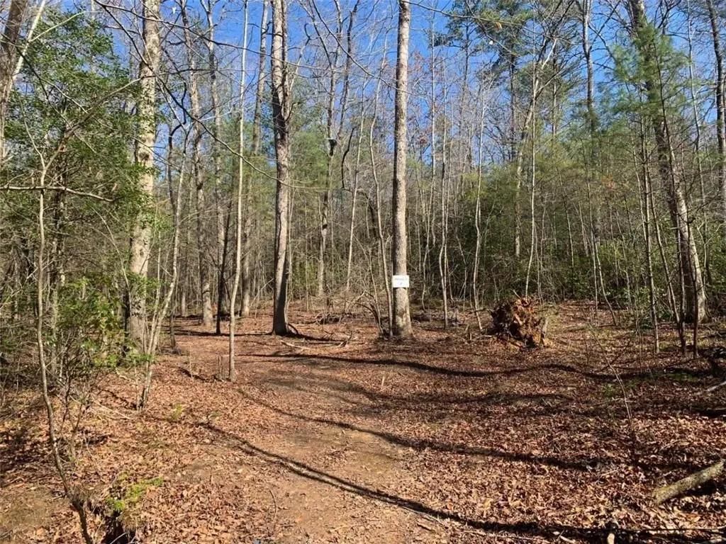 0 East New Hope Road, Ellijay, GA 30536 - #1