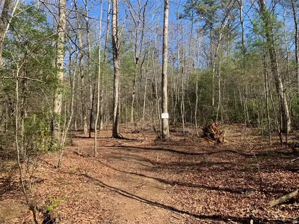 TRACT2 E New Hope Road E, Ellijay, GA 30536