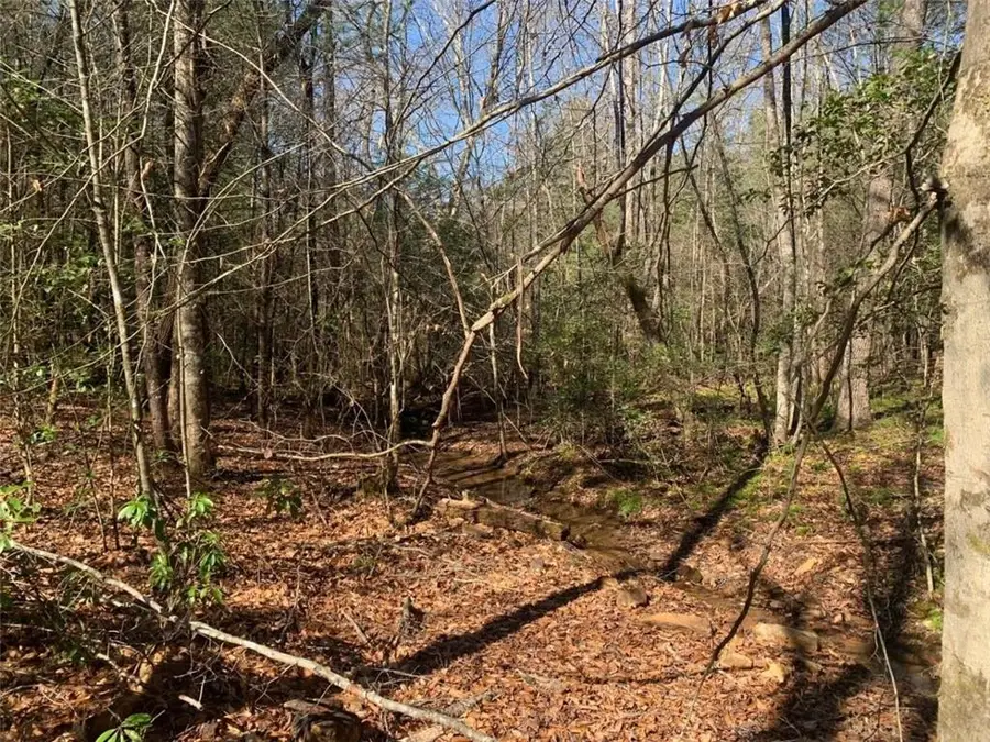 0 East New Hope Road, Ellijay, GA 30536 - #2