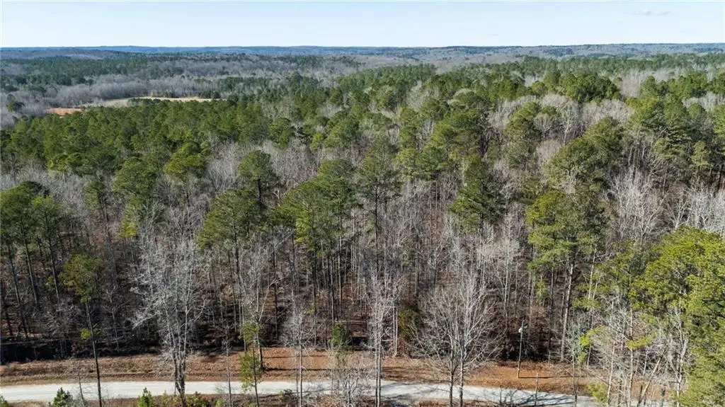 0 Pace Road, Fairburn Union City, GA 30213 - #1