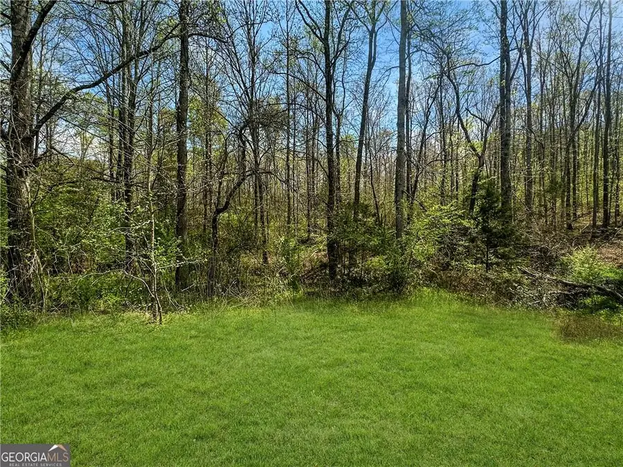 960 Gooseneck Road, Eastanollee, GA 30538 - #2
