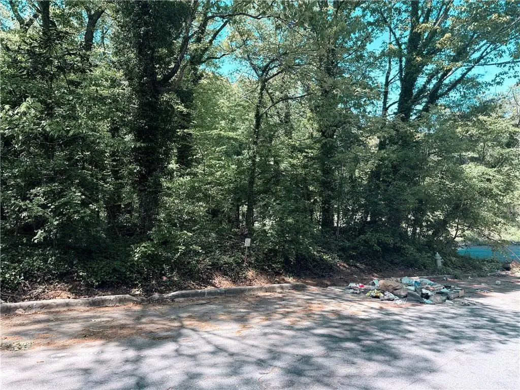 0 Willow Trail Sw, Atlanta, GA 30311 - #1