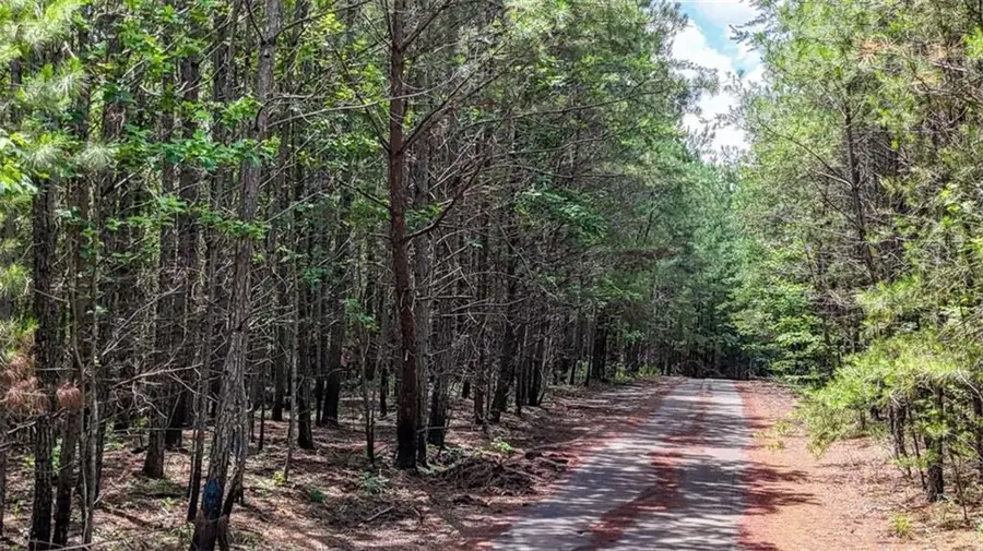 47 Lot, Rockmart, GA 30153 - #2