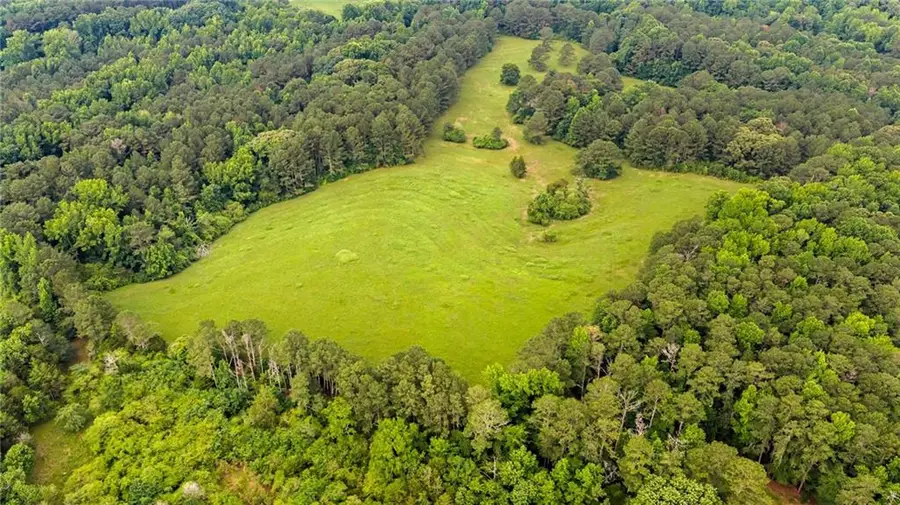 0 Capps Ferry Road, Chattahoochee Hills, GA 30268 - #3