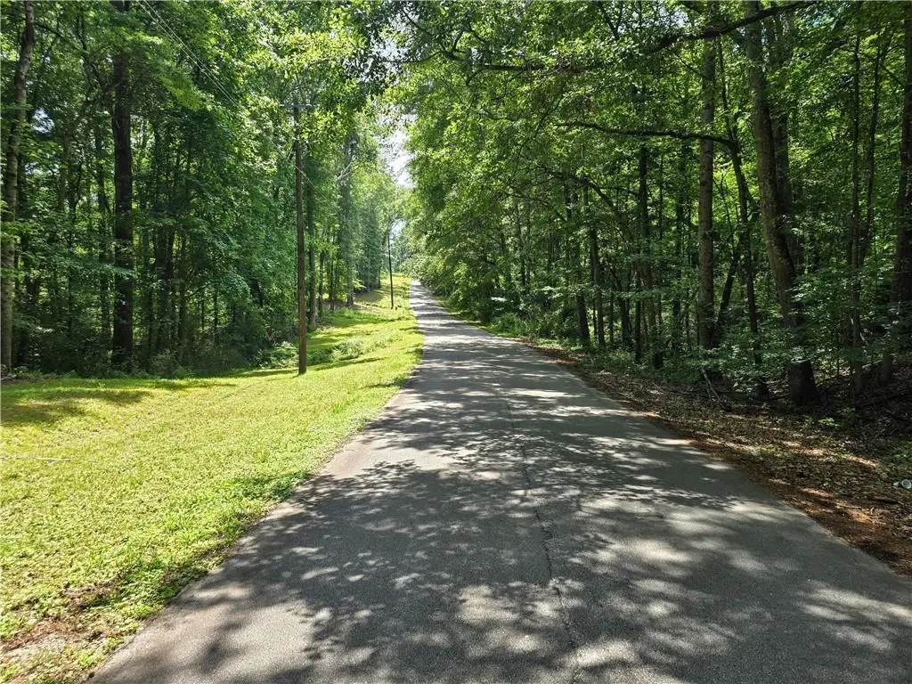 5 Lots Rome St. & Driver St., Temple, GA 30179 - #1