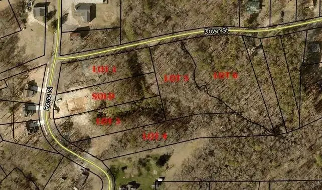 5 Lots Rome St. & Driver St., Temple, GA 30179 - #2