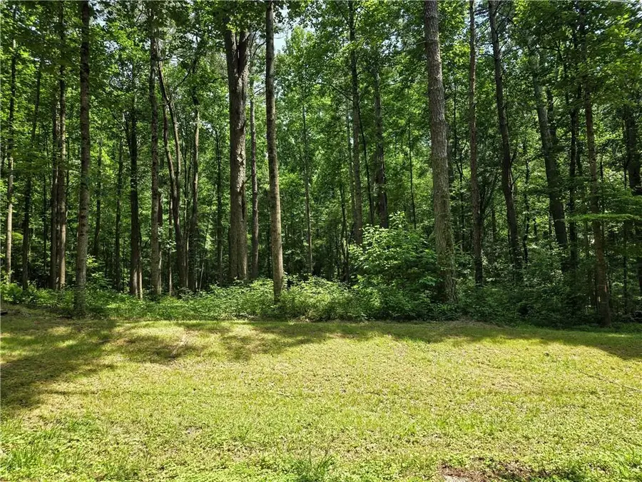 5 Lots Rome St. & Driver St., Temple, GA 30179 - #3