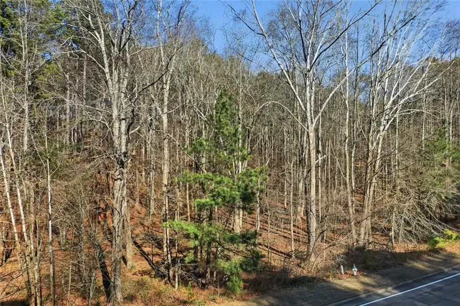 00 Sixes Road, Canton, GA 30114 - #2