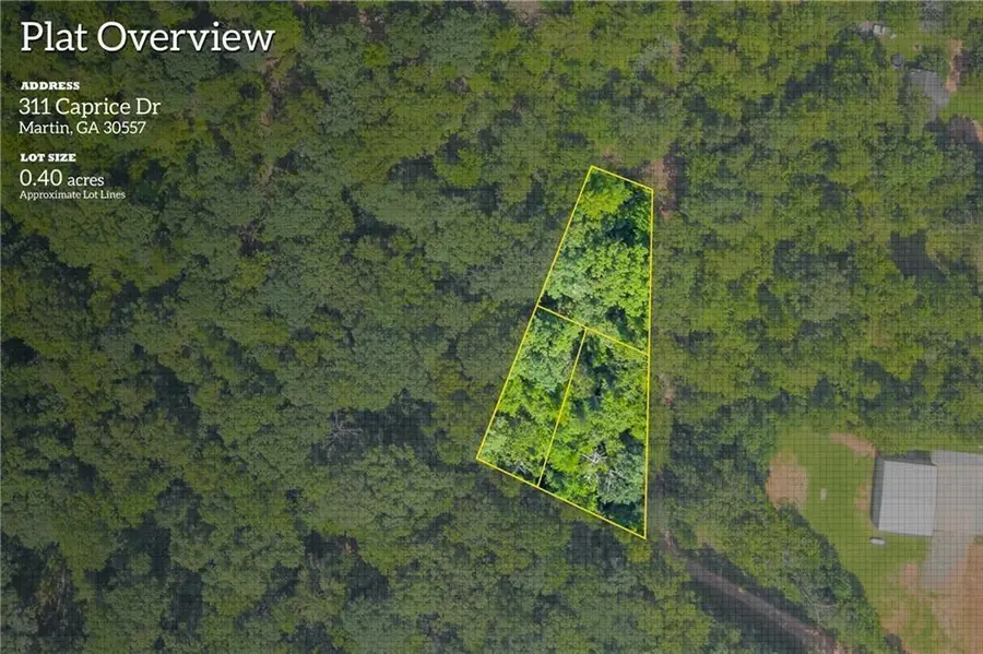 311 Caprice Drive, Martin, GA 30557 - #3