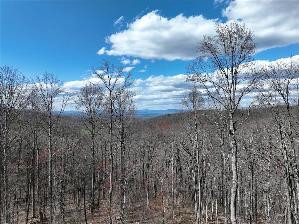 270R Stone Cliff Drive, Ellijay, GA 30536 - #1