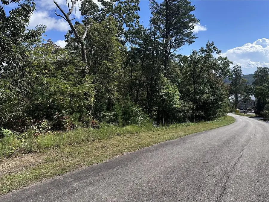 234 Stone Cliff Drive, Ellijay, GA 30536 - #2
