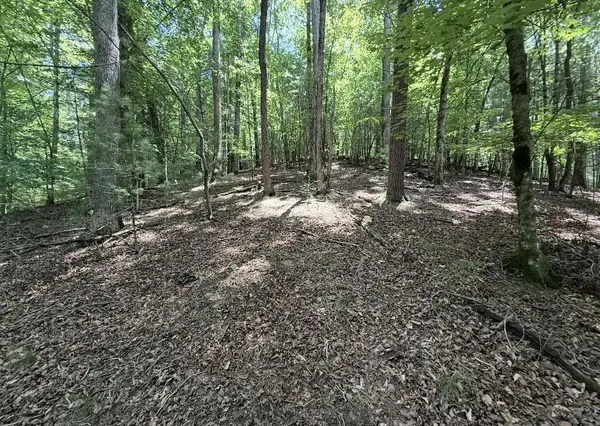 LT2607 Magnet Court, Ellijay, GA 30540