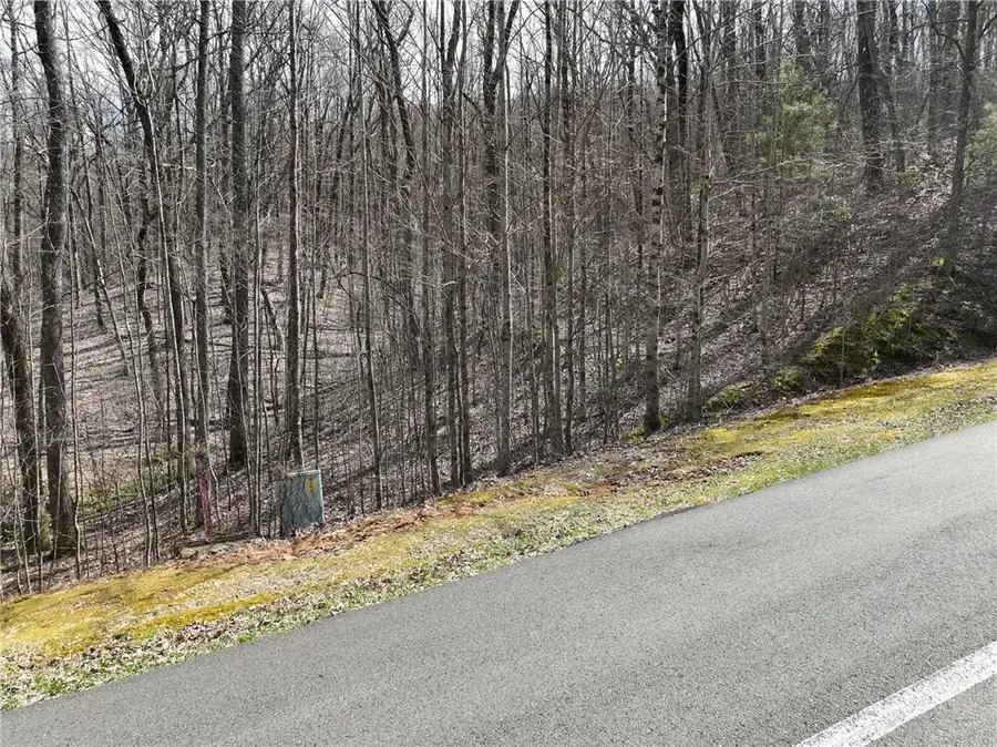 65 St Andrews Way, Ellijay, GA 30536 - #2