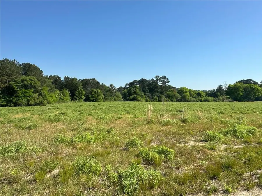 Tract 1 120 Popham Road, Taylorsville, GA 30178 - #3