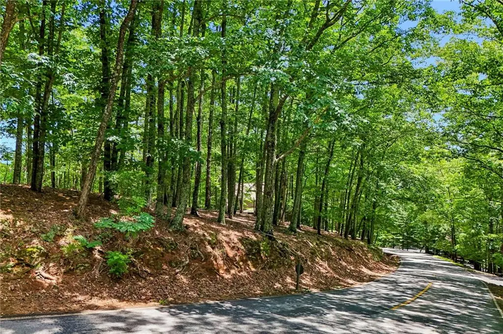 208 Columbine Drive, Big Canoe, GA 30143 - #1
