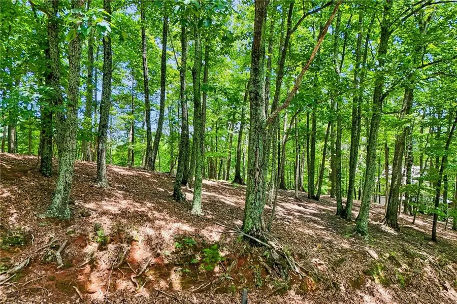 208 Columbine Drive, Big Canoe, GA 30143 - #2